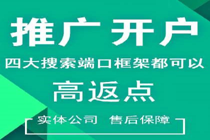 SEM推广案例：打造高效广告投放方案